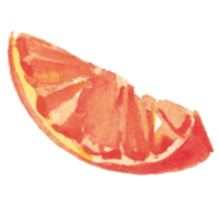 citron- orange vattenfärg png