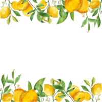 citron Cadre de citron png