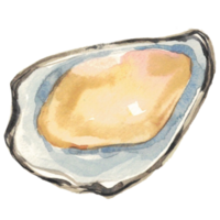 Schale Meeresfrüchte Meer Aquarell png