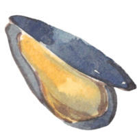 shell seafood sea watercolor png
