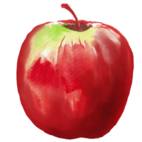 Pomme aquarelle rouge fruit png