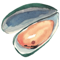 Schale Meeresfrüchte Aquarell png