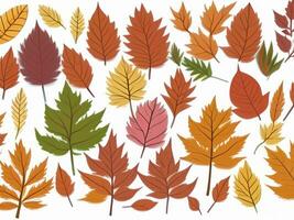 Drawing d ivarious autumn foliage generated by A.I. photo