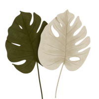 herfstbladeren illustratie png