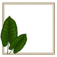 Frame with Autumn Leaves Decoration png