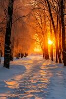Winter sunset illuminating ice-covered forest background with empty space for text photo