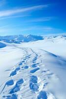 esquí pistas líder dentro avalancha territorio antecedentes con vacío espacio para texto foto