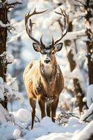 ciervo alimentándose en un cubierto de nieve desierto representando fauna silvestre dificil en extremo frío foto