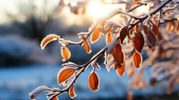 Winter landscape displaying ice-encrusted tree branches glistening under the stark frosty sunlight photo