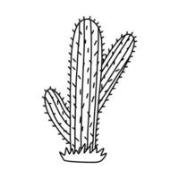 linda garabatear de saguaro cactus desde mexico o salvaje Oeste Desierto con mano dibujado describir. vector sencillo cactus flor con espinas en dibujos animados estilo. mexicano espinoso exótico planta aislado en blanco antecedentes