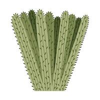 linda mano dibujado cactus desde mexico o salvaje Oeste desierto. vector sencillo cactus flor con espinas en dibujos animados estilo. mexicano espinoso exótico planta aislado en blanco antecedentes.