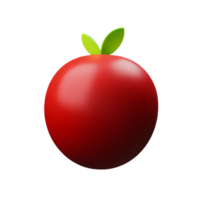 pomegranate 3d rendering icon illustration png