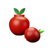 pomegranate 3d rendering icon illustration png