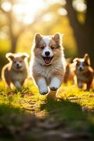 un reconfortante momento capturado en un soleado parque - juguetón cachorros persiguiendo su padre perros antecedentes con vacío espacio para texto foto