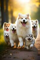 A joyful moment captured Adorable puppies romp with their proud parent dogs in a vibrant park setting photo