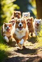 Adorable puppies eagerly frolic alongside their proud parent dogs spreading joy and laughter in the sunny park photo