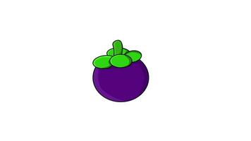 Animated video of the mangosteen fruit logo