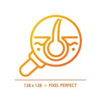 2D pixel perfect magnifying follicle gradient icon, isolated vector, haircare thin line simple orange illustration. vector