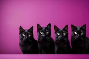 A captivating image of black cat silhouettes against a deep purple backdrop offering ample empty space for text photo