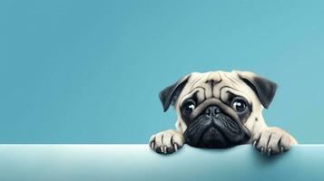 Playful pug on blue background with banner for text placement. AI Generated photo