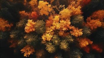Aerial view of an enchanting autumn forest with vibrant hues of orange, red, and gold photo