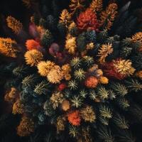 Aerial view of an enchanting autumn forest with vibrant hues of orange, red, and gold AI Generative photo