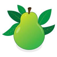 Green Pear with Leaves vector