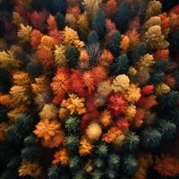 Aerial view of an enchanting autumn forest with vibrant hues of orange, red, and gold photo