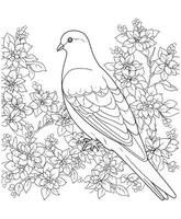 Pigeon flowers tree coloring page vector