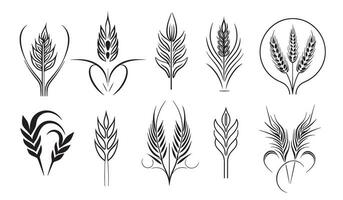 Wheat set logo hand drawn sketch Vector illustration