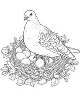 Pigeon is sitting in its nest with eggs coloring page vector