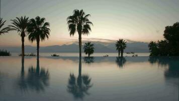 Timelapse of evening on resort Pool, palms and scene with sea and mountains video