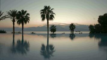 lasso di tempo di sera su ricorrere piscina, palme e scena con mare e montagne video