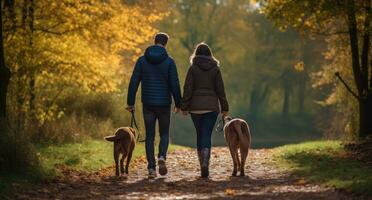 a couple and dog walking in the forest photo