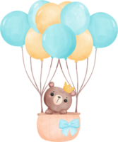 Cute baby shower bear, baby in hot balloon watercolor png