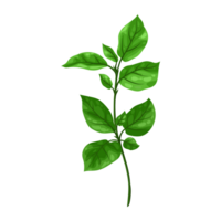 Basil Herb Generative Ai png