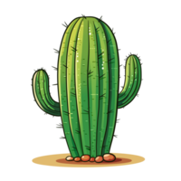 mignonne cactus illustation png