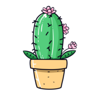 cute cactus illustation png