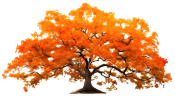 un dorado arce árbol png