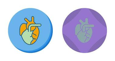 Medical Heart Vector Icon