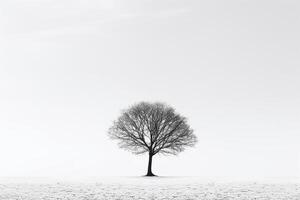 Embodying solitude - Monochromatic image of a lone tree casting shadows against a stark white background AI Generative photo