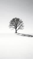 Lone tree casting shadows against stark white background AI Generative photo