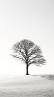 Embodying solitude - Monochromatic image of a lone tree casting shadows against a stark white background AI Generative photo