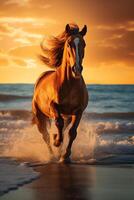 Dynamic image of a horse galloping across a sandy beach against a stunning sunset photo