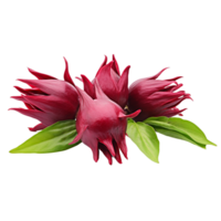 hibisco sabdariffa o roselle frutas ai generativo png