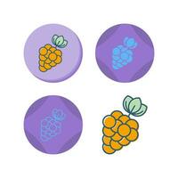 Berries Vector Icon