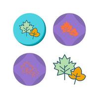 Leaf Vector Icon