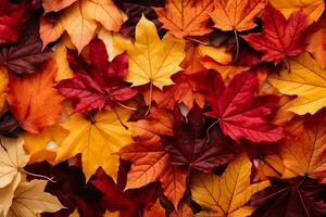 Pattern of colorful autumn leaves. Generative AI. photo