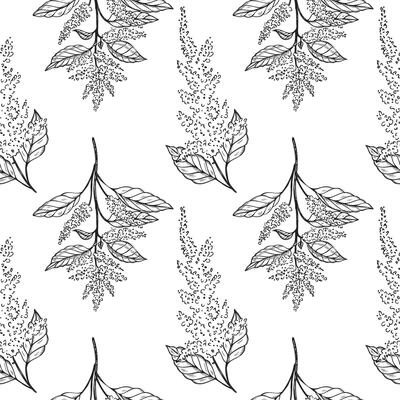 Amaranth plant seamless pattern vector illustration repeating background. Hand drawn Pigweed flower, vegetarian nutrition, grains agricultural. For print, design, paper, label, wrapping, textile, card