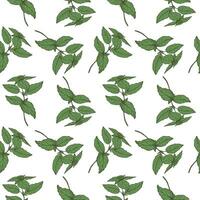 Basil plant seamless pattern drawing vector illustration repeating background. Decorative ornament with basil leaves branch, fragrant herb, spice,. For design, card, textile, print, paper, wrapping